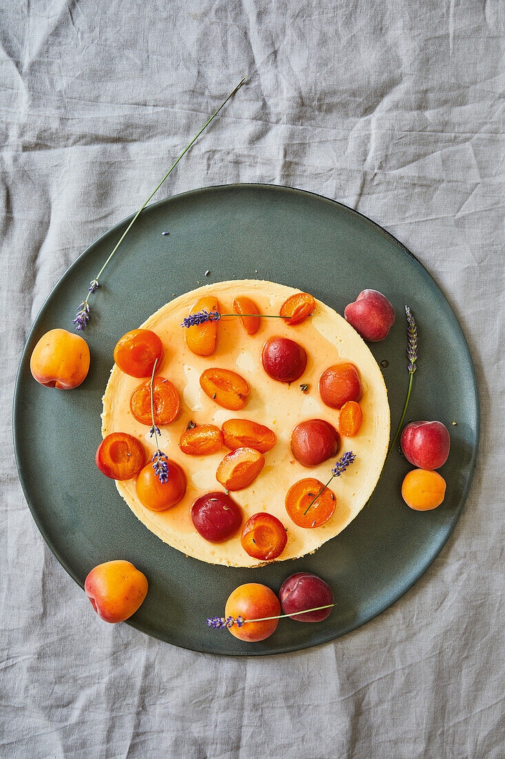 Käsekuchen mit Lavendelaprikosen