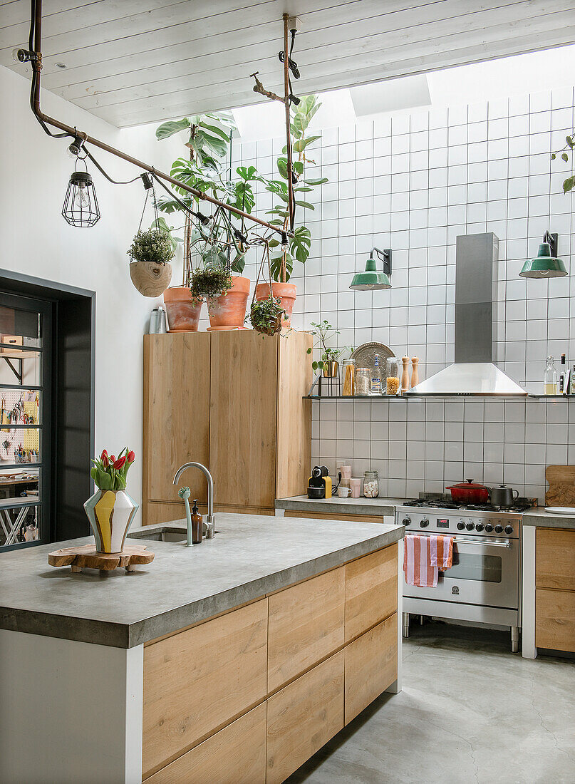 Modern kitchen with wooden cabinets, concrete worktops, indoor plants and skylight window