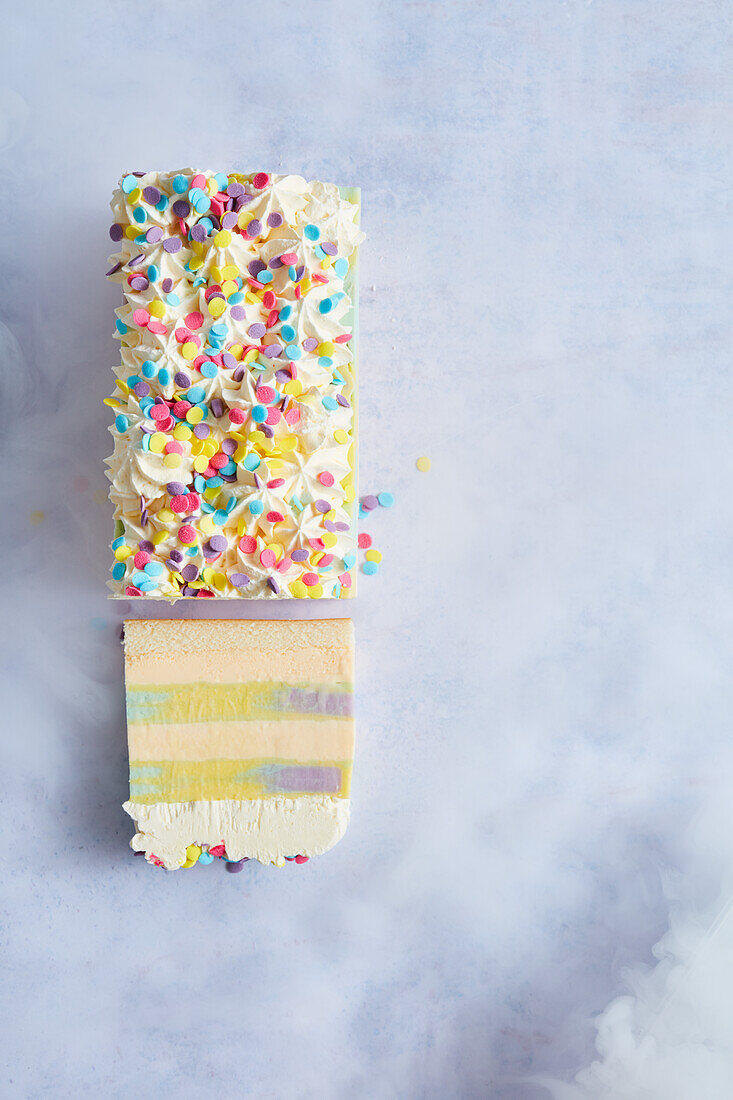 Rainbow Billabong ice cream cake