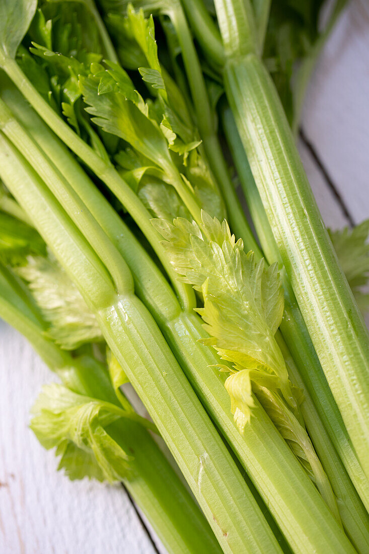 Celery stalks (close up)