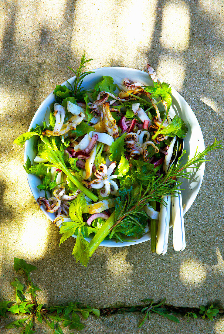 Mixed salad with grilled octopus and herbs
