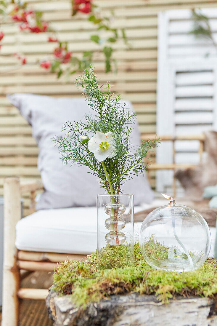 Vase and globe lamp on a tree trunk with moss on the patio