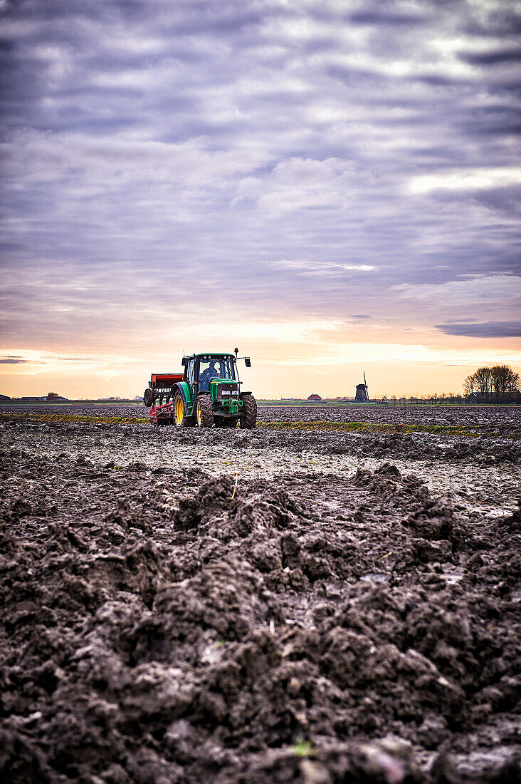 Tractor harvesting potatoes in the Netherlands