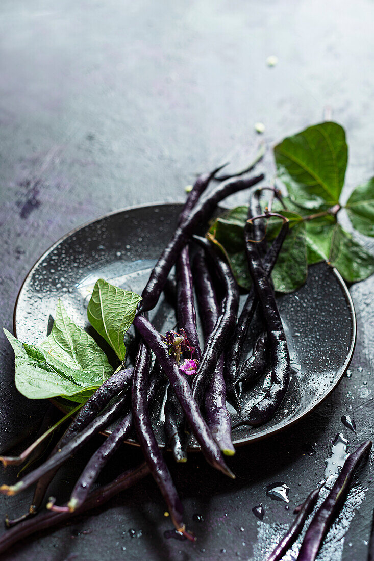Freshly harvested purple-green beans with leaves