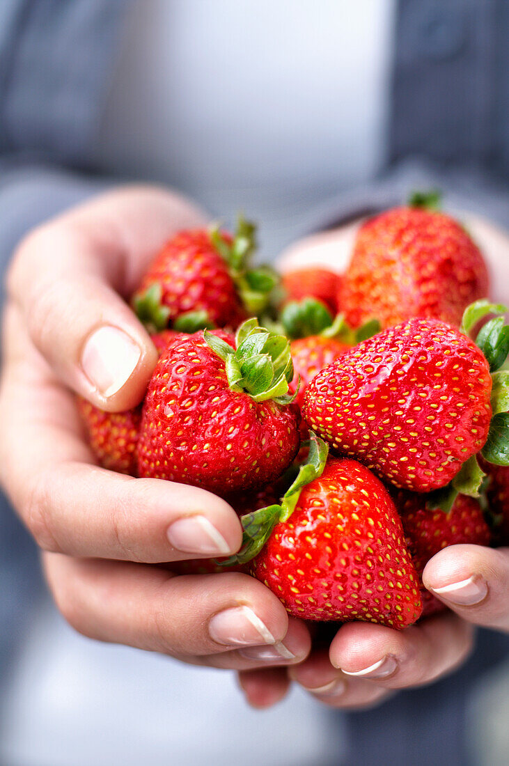 Hände halten Erdbeeren