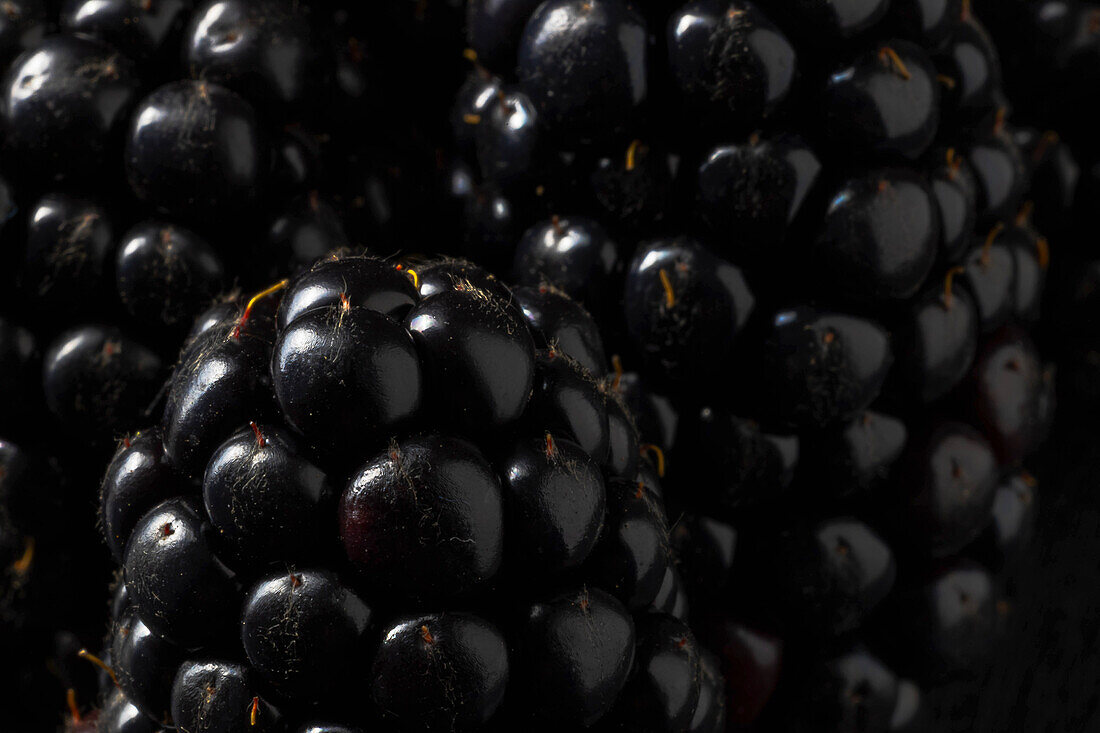 Macro photo of blackberries