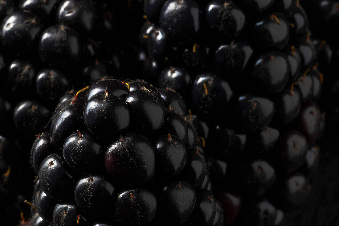 Makrofoto von Brombeeren