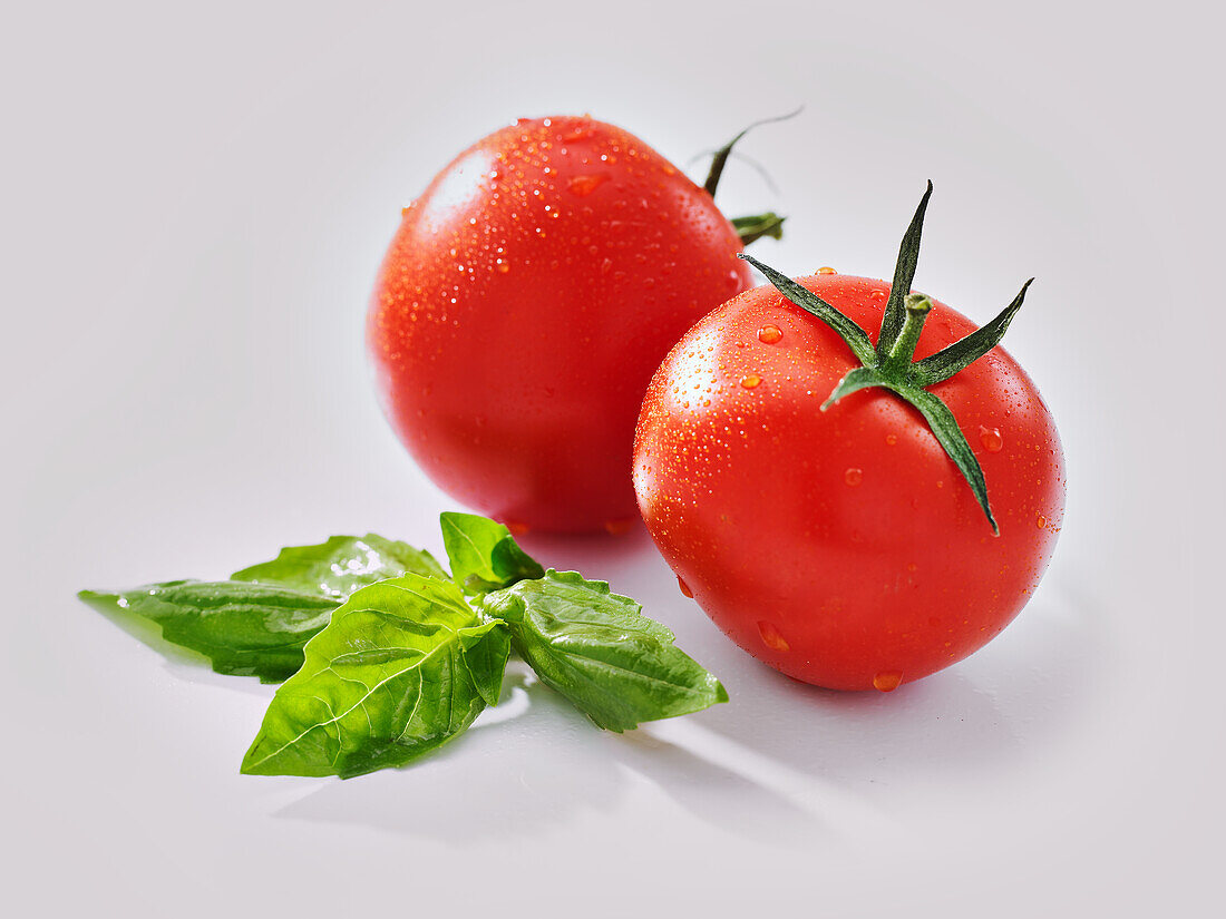 Tomatoes and basil on a white background
