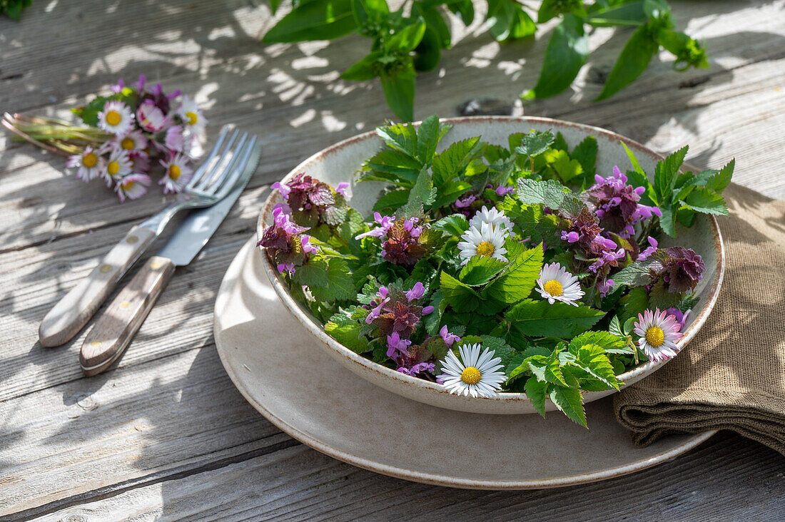 Wildkräutersalat mit Gänseblümchen, Giersch, Brennessel, rote Taubnessel