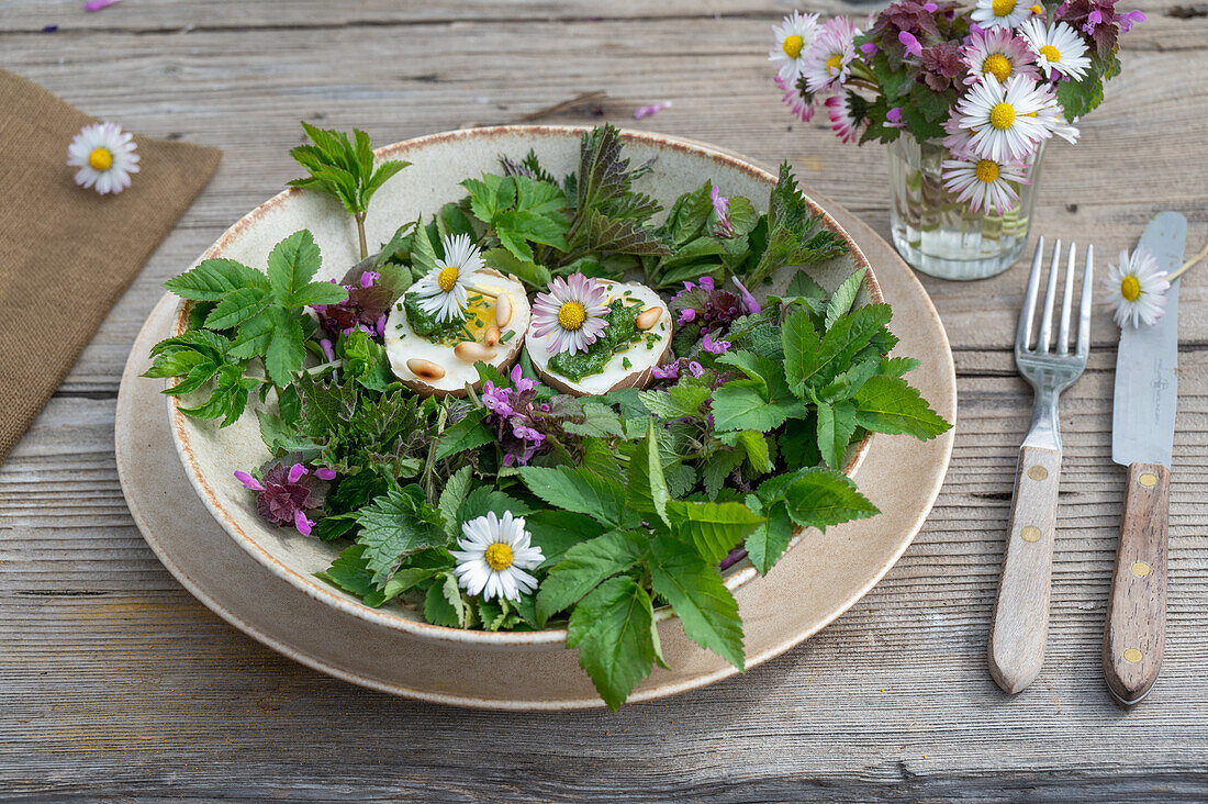 Wild herb salad with daisies, goutweed, nettle, red deadnettle and egg