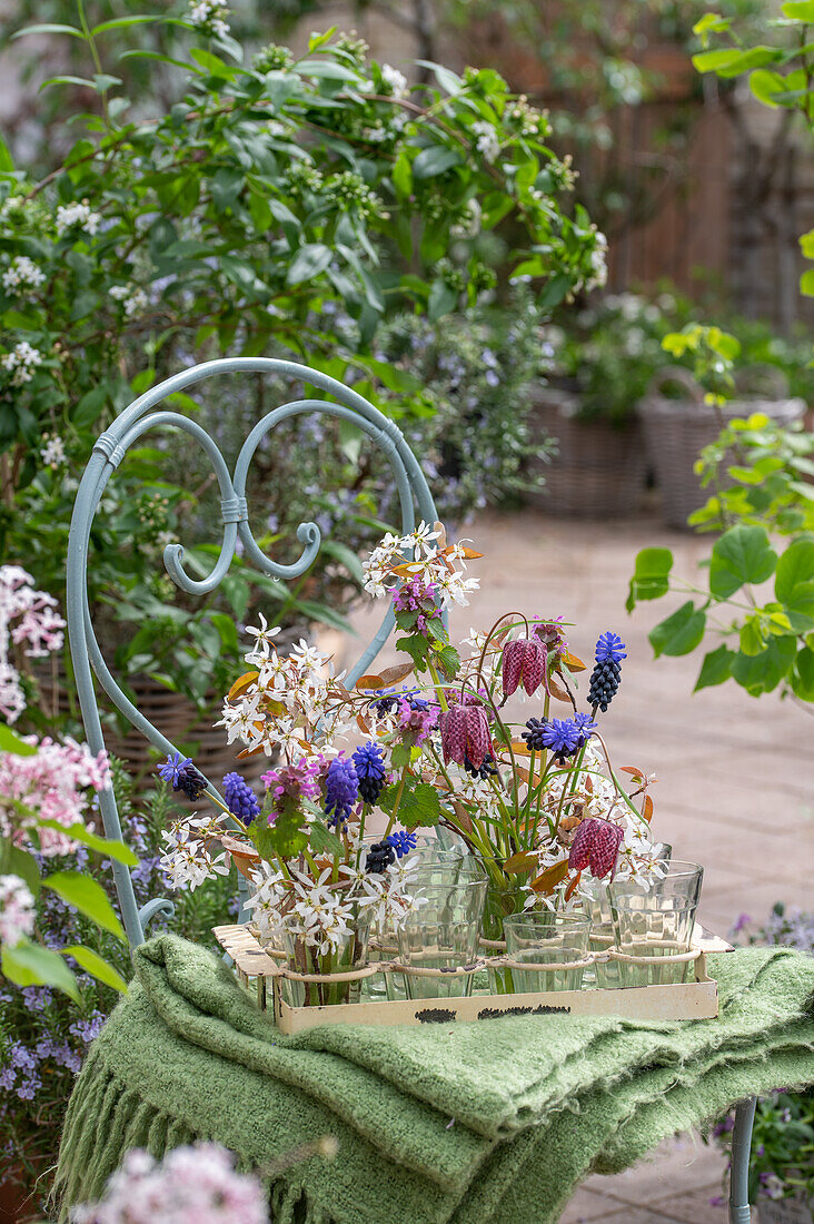 Felsenbirne (Amelanchier), Schachbrettblume (Fritillaria meleagris), Traubenhyazinthen (Muscari) und Taubnessel, einzelne Blüten in Vasen auf der Terrasse