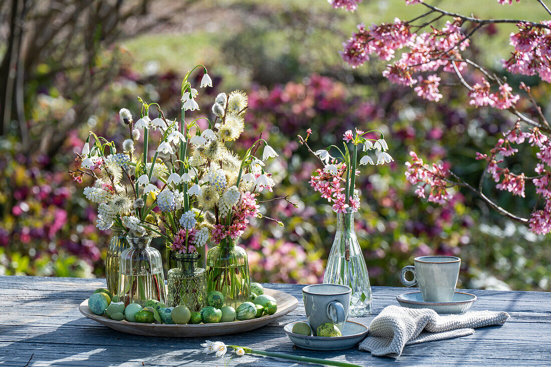 Small bouquets of grape hyacinth 'Mountain Lady', spring knotweed 'Gravetye Giant' and pussy willows on patio table with coffee service