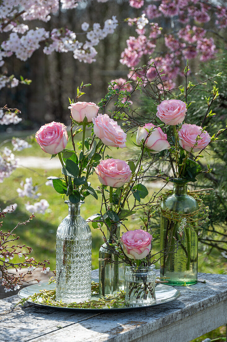 Langstielige rosa Rosen (Rosa) in verschiedenen Vasen auf Terrassentisch