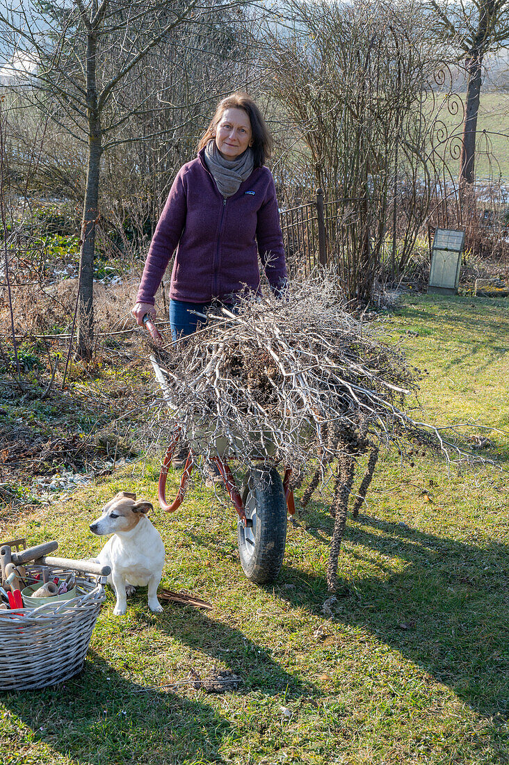 Frau bei der Gartenarbeit mit Schubkarren, Bäume zuschneiden, und Hund
