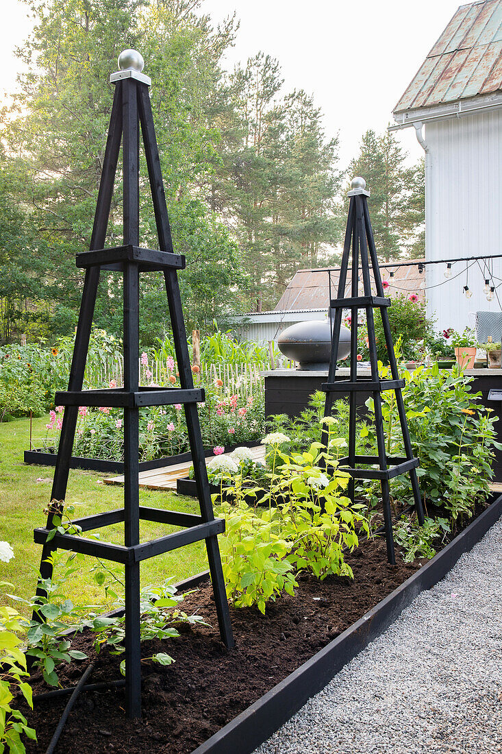 Schwarze Rankgerüste im modernen Gartenbeet