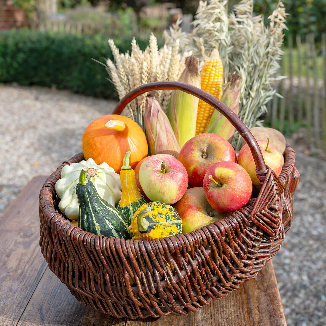 Basket with fruit, pumpkins and grain (Thanksgiving)