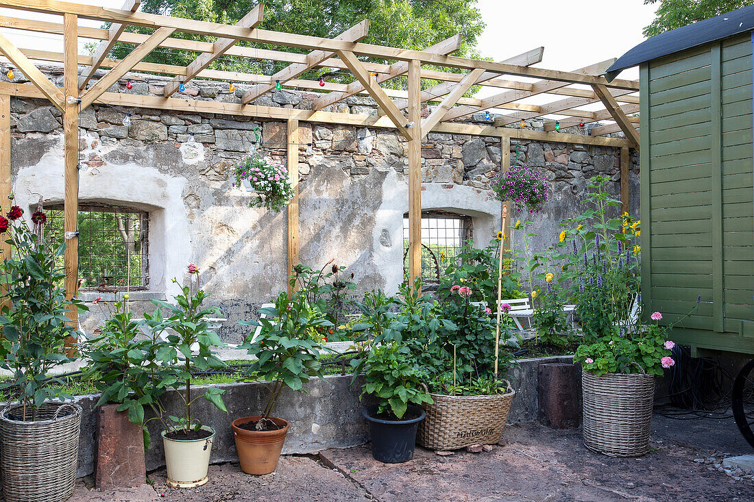 Blumen und Pflanzen in Töpfen stehen vor einer Steinwand unter einer Pergola