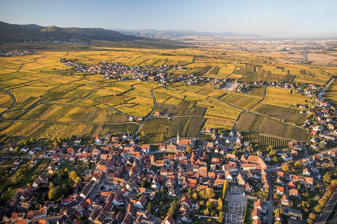 France,Haut Rhin,Alsace wine road,Hattstatt (aerial view)