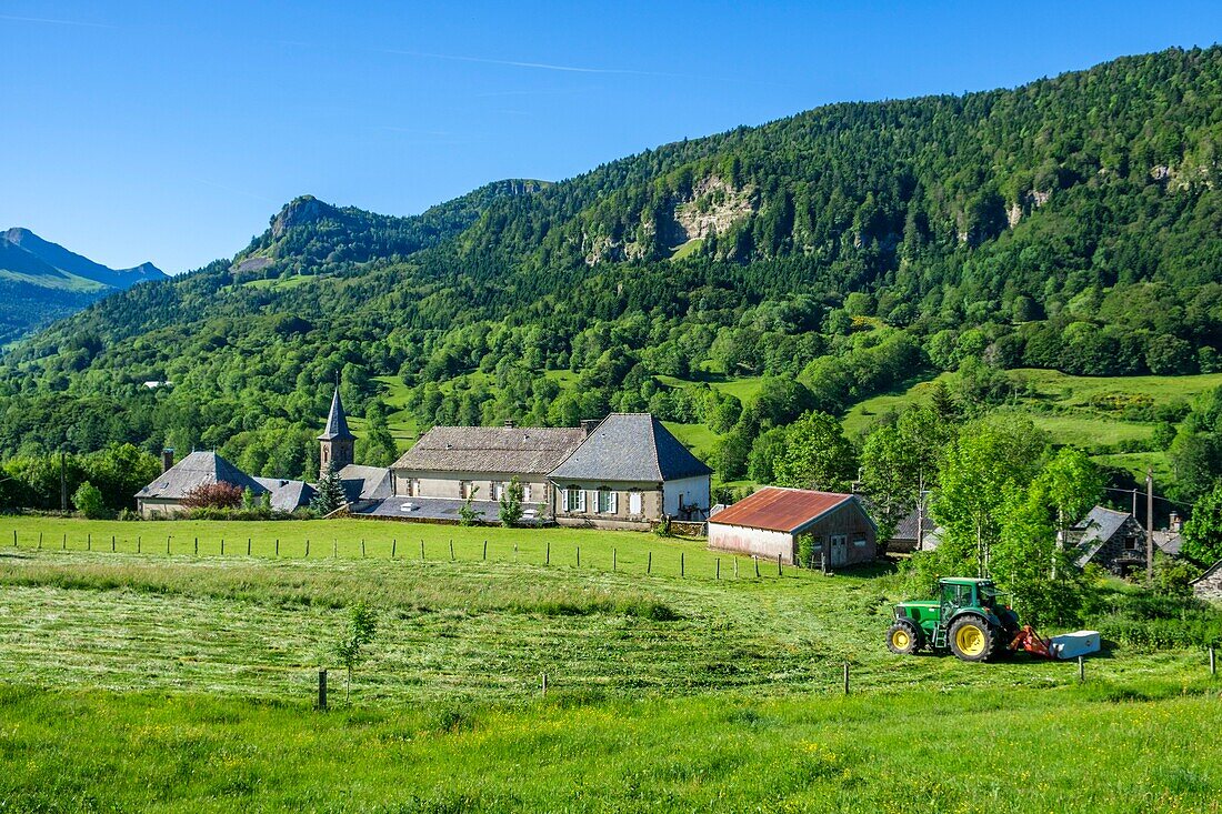 France,Cantal,Regional Natural Park of the Auvergne Volcanoes,monts du Cantal,Cantal mounts,Le Falgoux,Mars valley