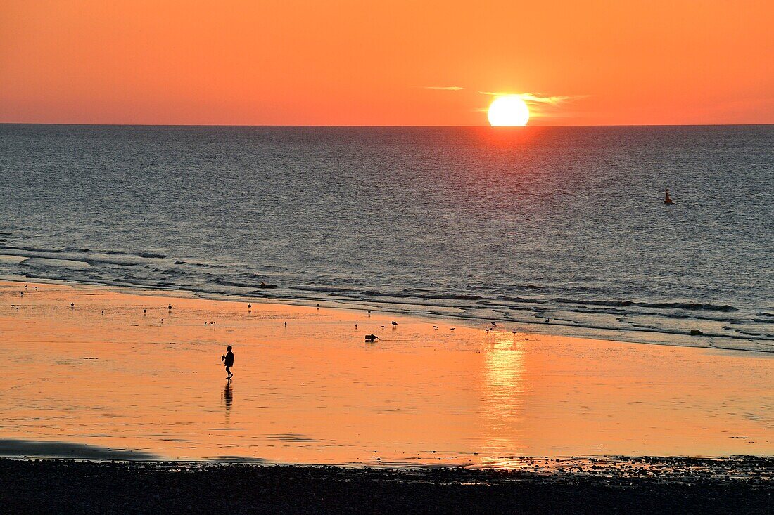 Frankreich,Normandie,Seine Maritime,Pays de Caux,Cote d'Albatre,Veules les Roses,Die schönsten Dörfer Frankreichs,der Strand