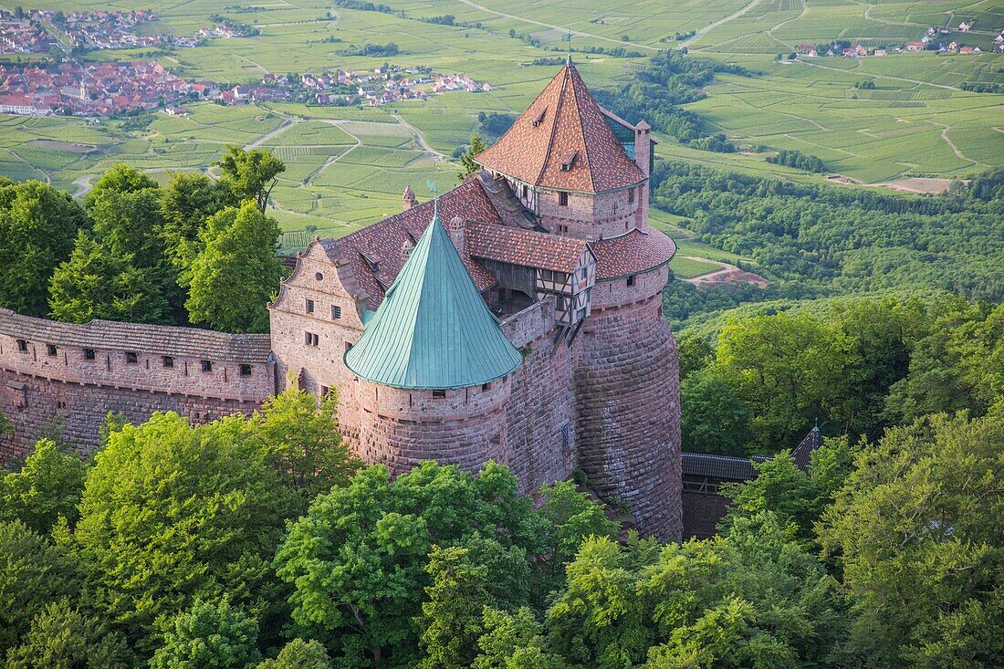 France,Bas Rhin,Orschwiller,Alsace Wine road,Haut Koenigsbourg Castle (aerial view)