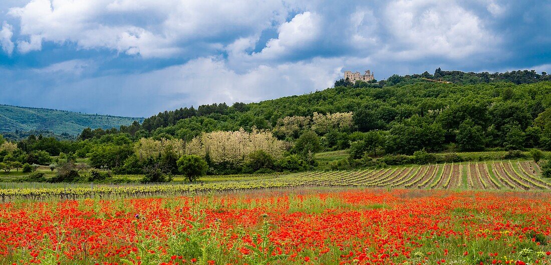 Frankreich,Vaucluse,Regionalpark Luberon,Stadt Lacoste und das Tal von Lacoste