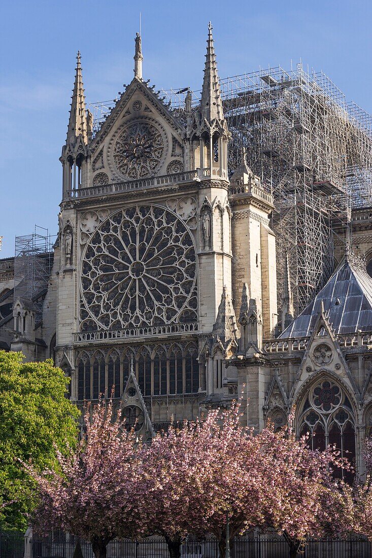 France,Paris,Notre Dame de Paris Cathedral,two days after the fire,April 17,2019