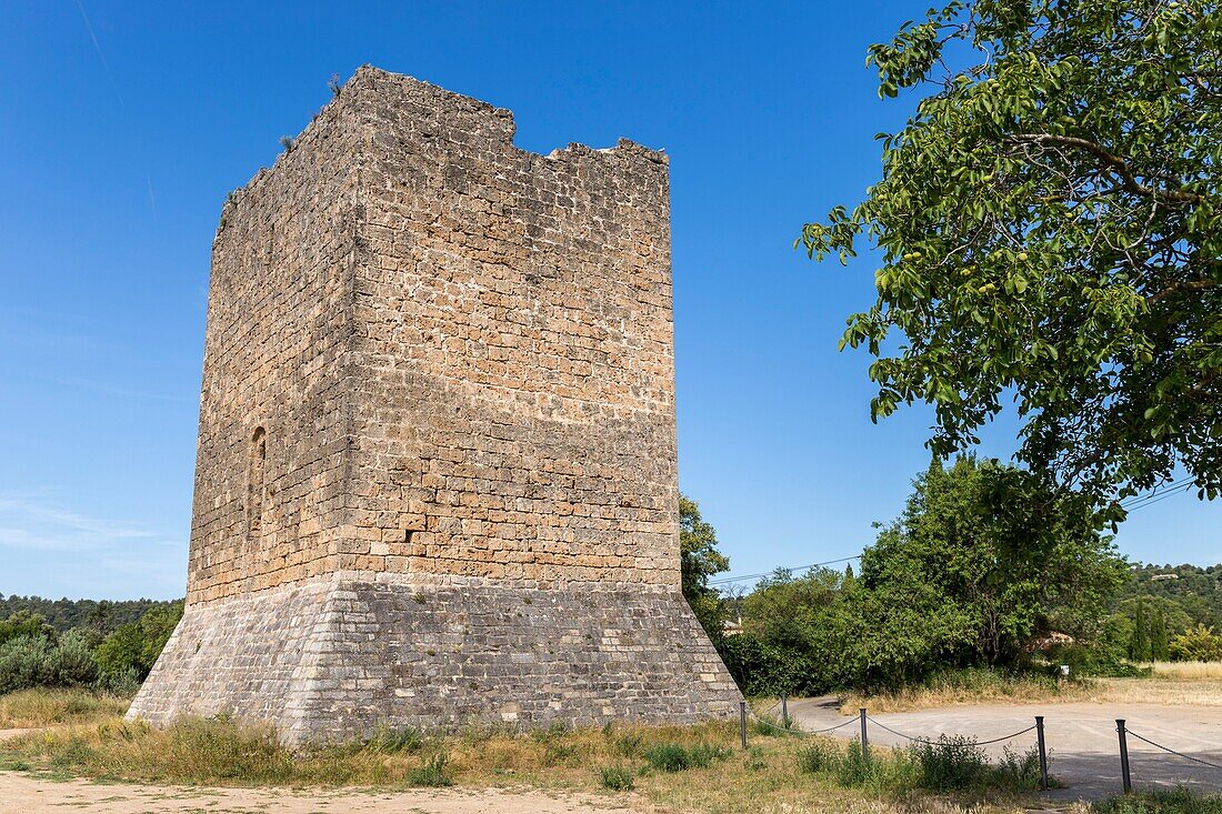 France,Var,Green Provence,Cotignac,one of the two towers remains of the feudal castle