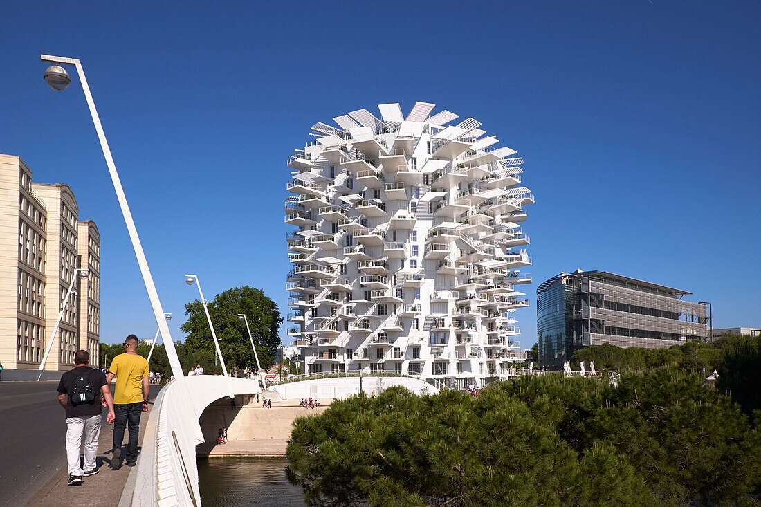 France,Hérault,Montpellier,Richter district,The White Tree on the banks of the Lez by the Japanese architect Sou Fujimoto. 17 storey high,or 56 meters,the building has 120 apartments,a panoramic bar,a restaurant and an art gallery