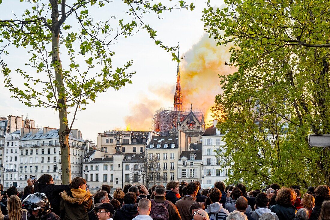 Frankreich,Paris,Welterbe der UNESCO,Ile de la Cite,Kathedrale Notre-Dame,Großbrand der Kathedrale am 15.04.2019