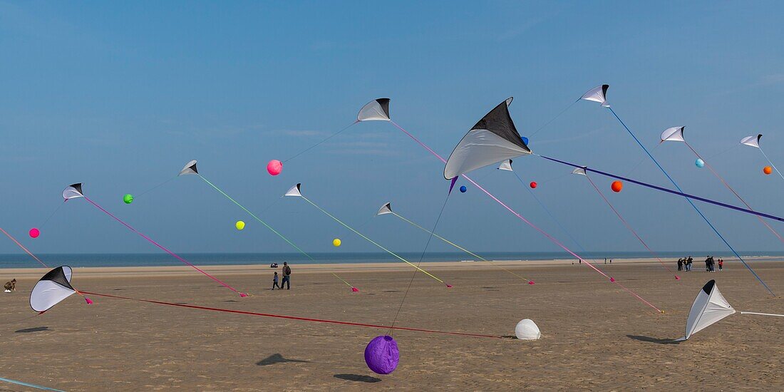 Frankreich,Pas de Calais,Opale Küste,Berck sur Mer,Berck sur Mer International Kite Meetings,während 9 Tagen empfängt die Stadt 500 Drachen aus der ganzen Welt für eine der wichtigsten Drachenveranstaltungen der Welt