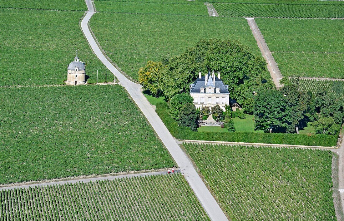 Frankreich,Gironde,Pauillac,Medoc Region,Chateau Latour wo Premier Grand Cru Wein produziert wird und Chateau Pichon Longueville im Hintergrund (Luftaufnahme)