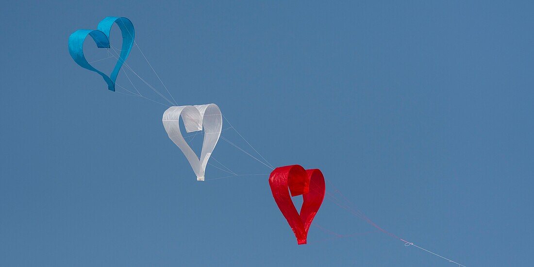 France,Pas de Calais,Opale Coast,Berck sur Mer,Berck sur Mer International Kite Meetings,during 9 days the city welcomes 500 kites from all over the world for one of the most important kite events in the world