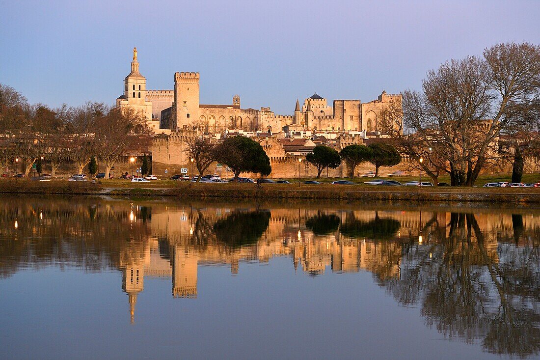 Frankreich,Vaucluse,Avignon,die Rhone mit der Kathedrale von Doms aus dem 12. Jahrhundert und dem Papstpalast, der zum UNESCO-Weltkulturerbe gehört