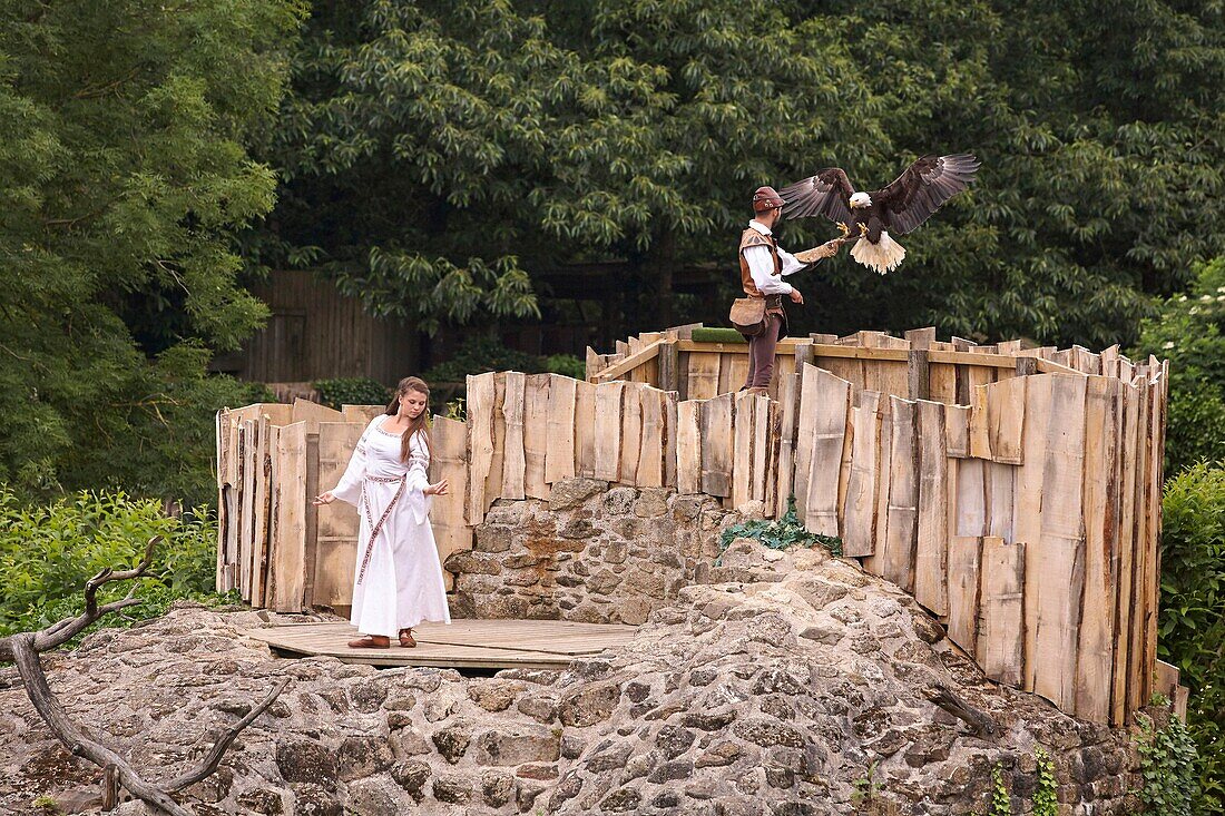 France,Vendee,Les Epesses,Le Puy du Fou historical theme park,The birds show,falconer with a Bald eagle