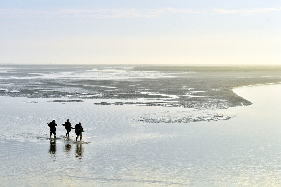 France,Somme,Baie de Somme,Saint Valery sur Somme,mouth of the Somme Bay at low tide