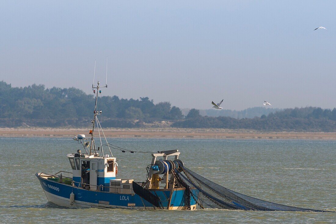 Frankreich,Somme,Baie de Somme,Le Hourdel,Trawler in der Baie de Somme nahe dem Hafen von Le Hourdel