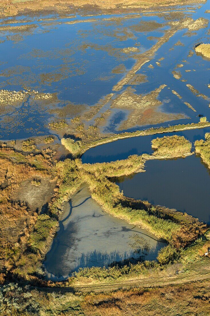 France,Morbihan,Sarzeau,aerial view of the Golfe of Morbihan,Saint-Colombier marshes