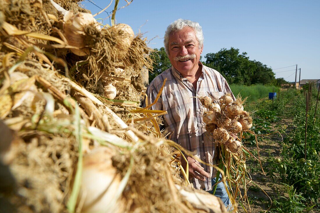 France,Tarn,Lautrec,portrait of Robert Molinier,producer of Lautrec Pink Garlic