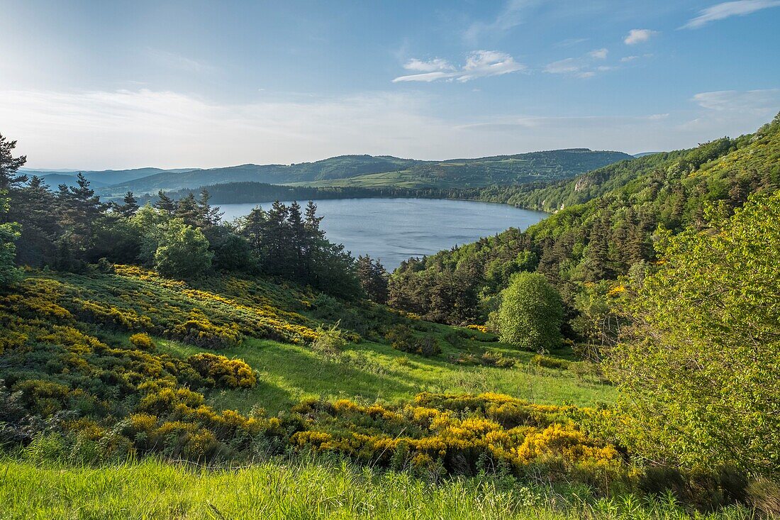 France,Ardeche,Parc naturel regional des Monts d'Ardeche (Regional natural reserve of the Mounts of Ardeche),Le Lac d'Issarles