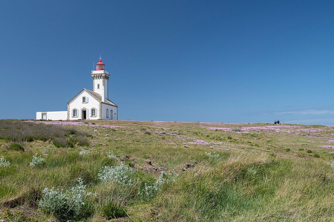 Frankreich,Morbihan,Insel Belle-Ile,Sauzon,der Leuchtturm an der Pointe des Poulains