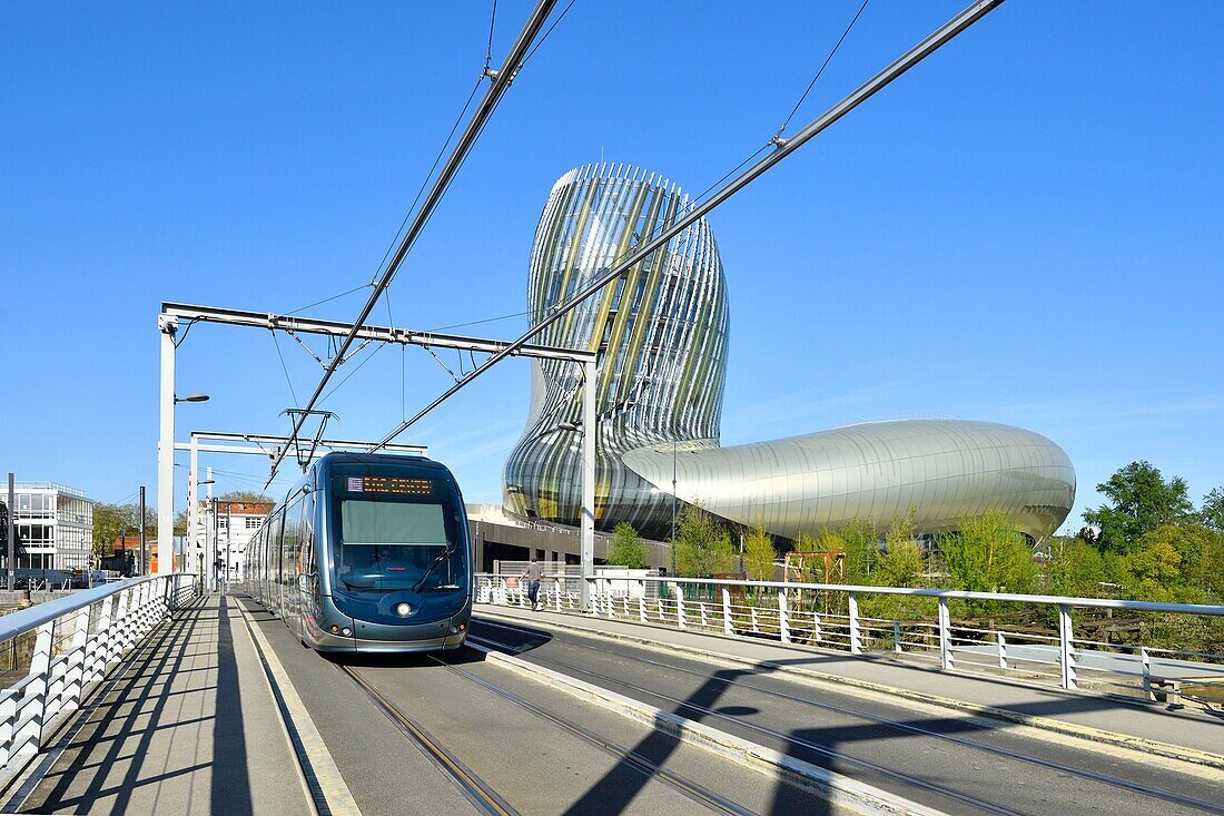 Frankreich,Gironde,Bordeaux,von der UNESCO zum Weltkulturerbe erklärtes Gebiet,die Stadt des Weins,entworfen von den Architekten der Agentur XTU und der englischen Szenografieagentur Casson Mann Limited