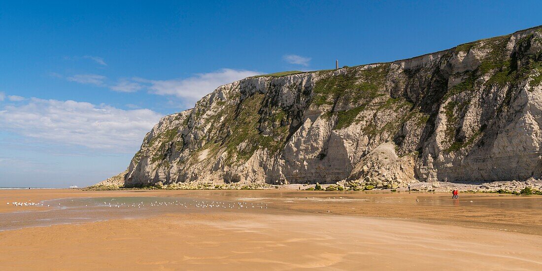 Frankreich,Pas de Calais,Opalküste,Großer Standort der beiden Caps,Escalles,Cap Blanc nez,der Strand von Escalles und die Klippen von Cap Blanc Nez