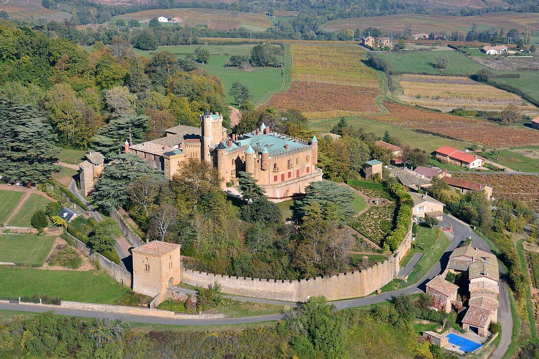 France,Rhone,Beaujolais region,the wine producing castle of Montmelas Saint Sorlin (aerial view)