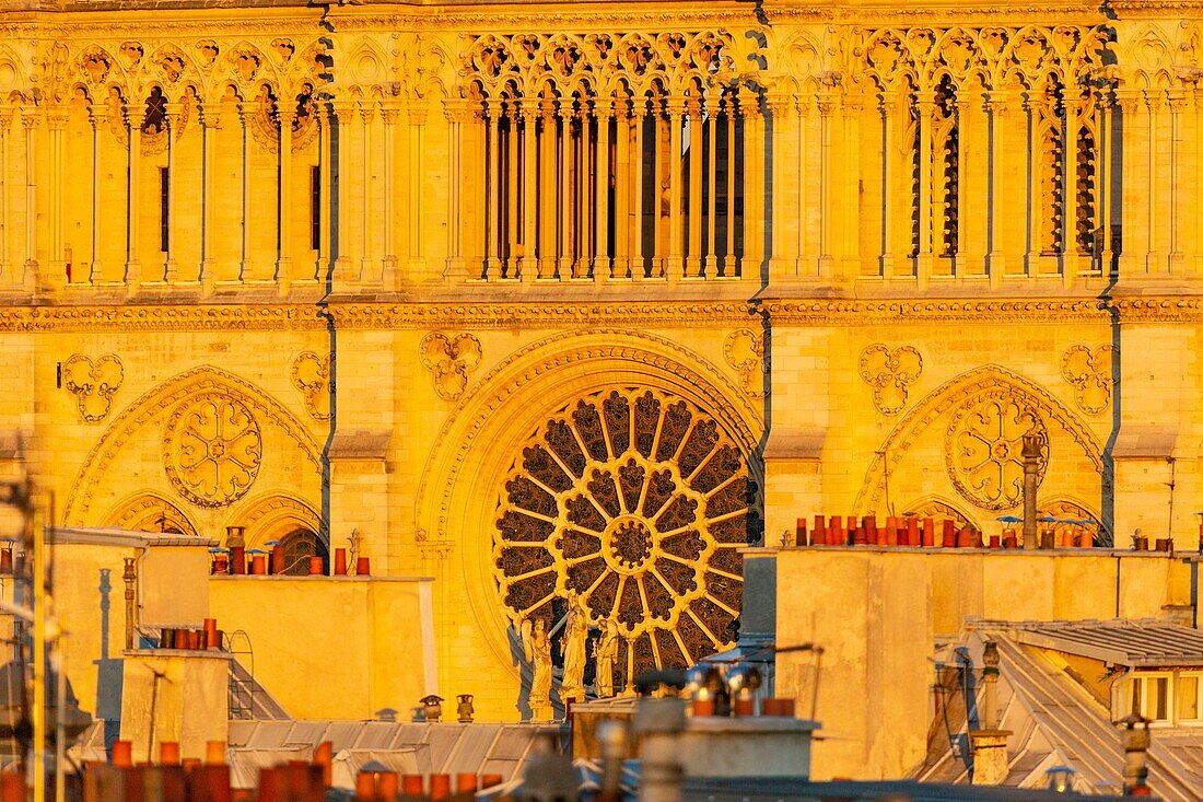 Frankreich,Paris,Weltkulturerbe der UNESCO,Kathedrale Notre Dame