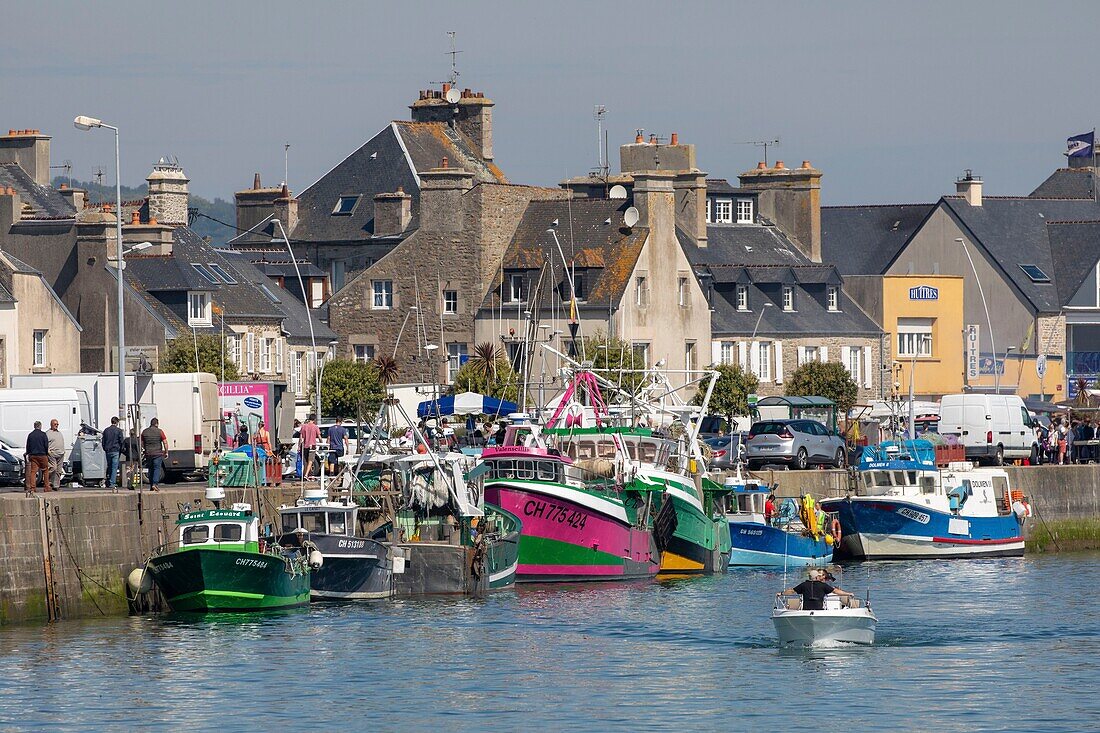 France,Manche,Cotentin,Saint Vaast la Hougue,the port