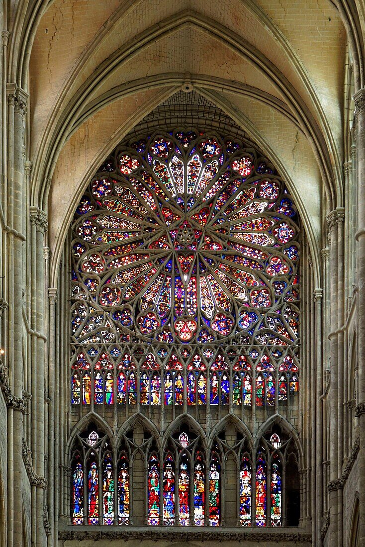 France,Somme,Amiens,Notre-Dame cathedral,jewel of the Gothic art,listed as World Heritage by UNESCO,the Wind Rose of the north transept and the triforium (suite of kings and saints) of the fourteenth century