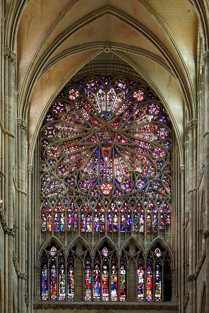 Frankreich,Somme,Amiens,Kathedrale Notre-Dame,Juwel der gotischen Kunst,von der UNESCO zum Weltkulturerbe erklärt,die Windrose des nördlichen Querschiffs und das Triforium (Suite der Könige und Heiligen) aus dem vierzehnten Jahrhundert