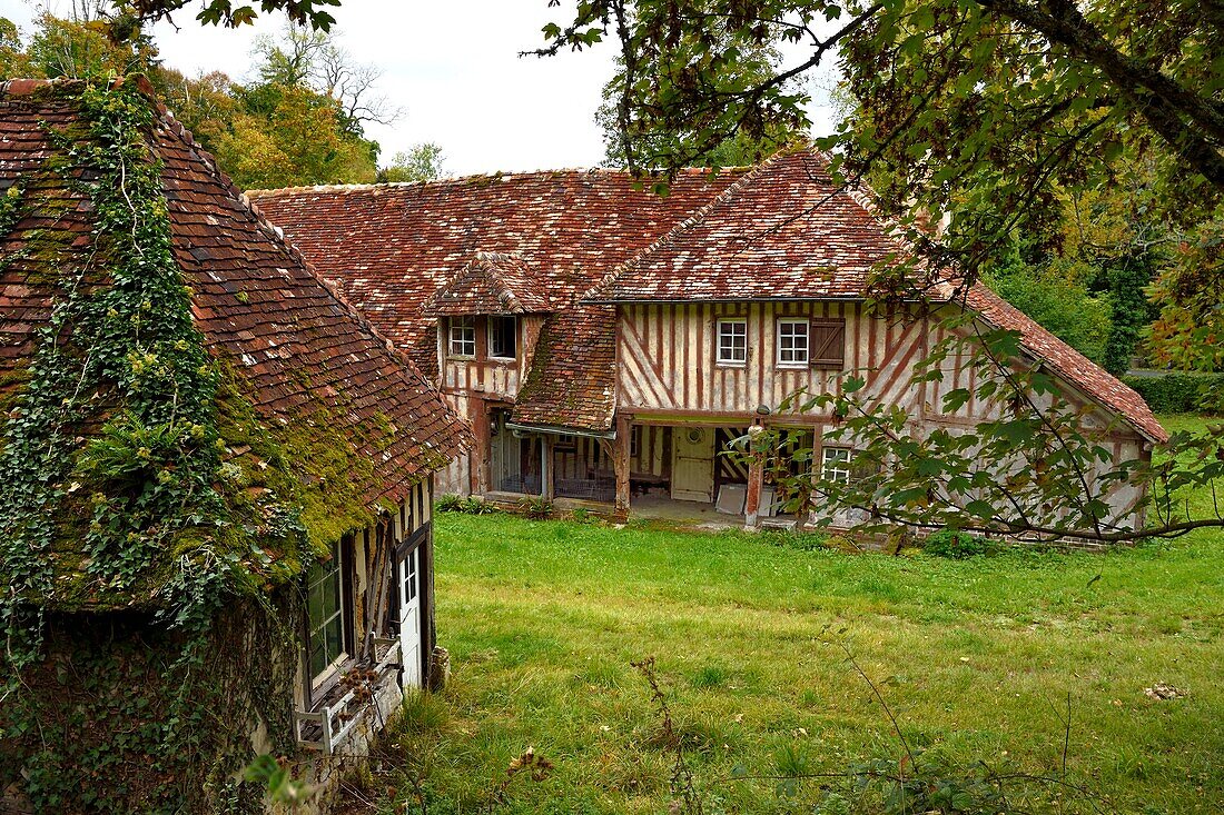 Frankreich,Calvados,Pays d'Auge,La Roque Baignard,Ruine eines alten Bauernhofs