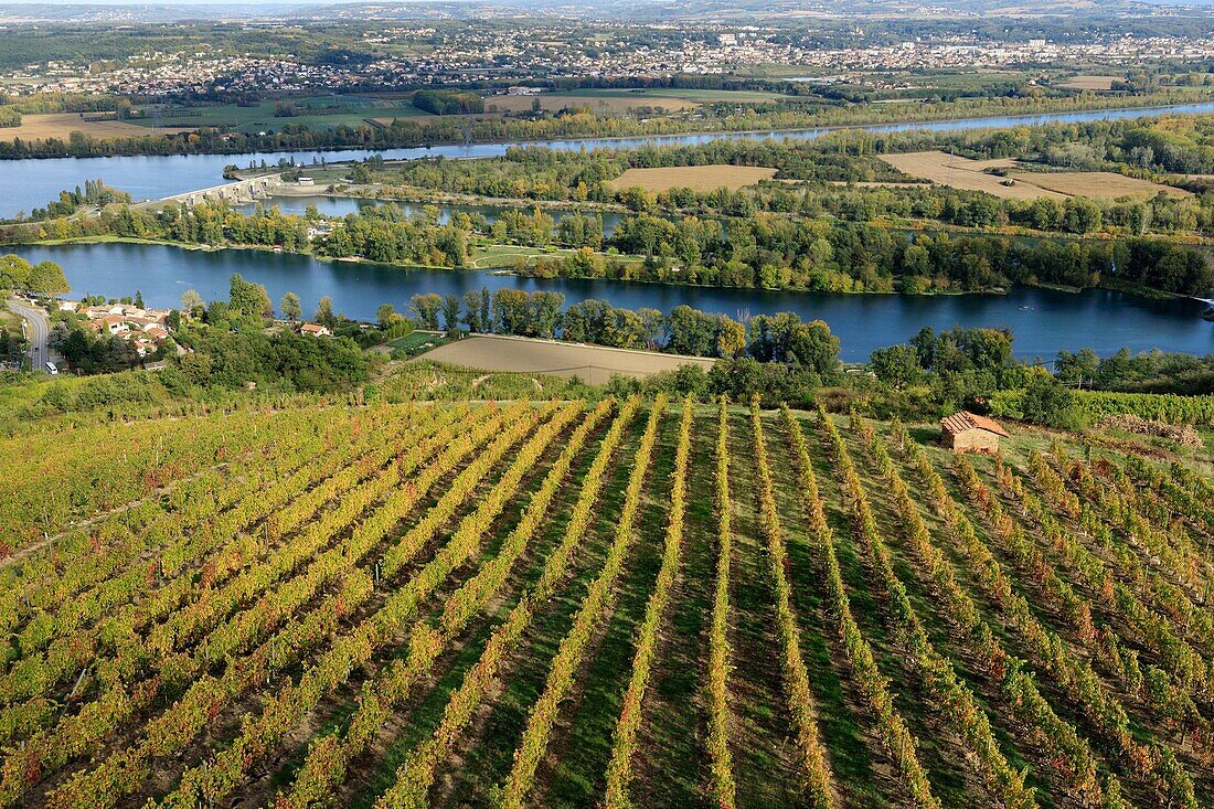 Frankreich,Loire,Saint Pierre de Boeuf,See Batalon und Damm an der Rhone,Weinberg Appellation Condrieu (Luftaufnahme)